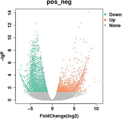 Identification of aberrantly expressed lncRNAs and ceRNA networks in multiple myeloma: a combined high-throughput sequencing and microarray analysis